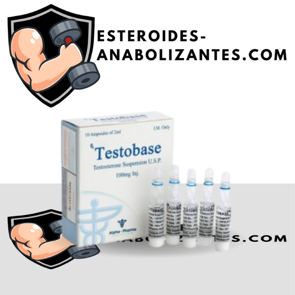 Testobase