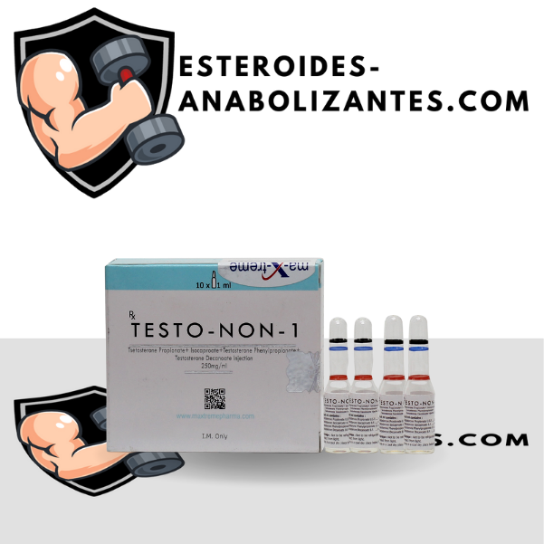 Testo-Non-1